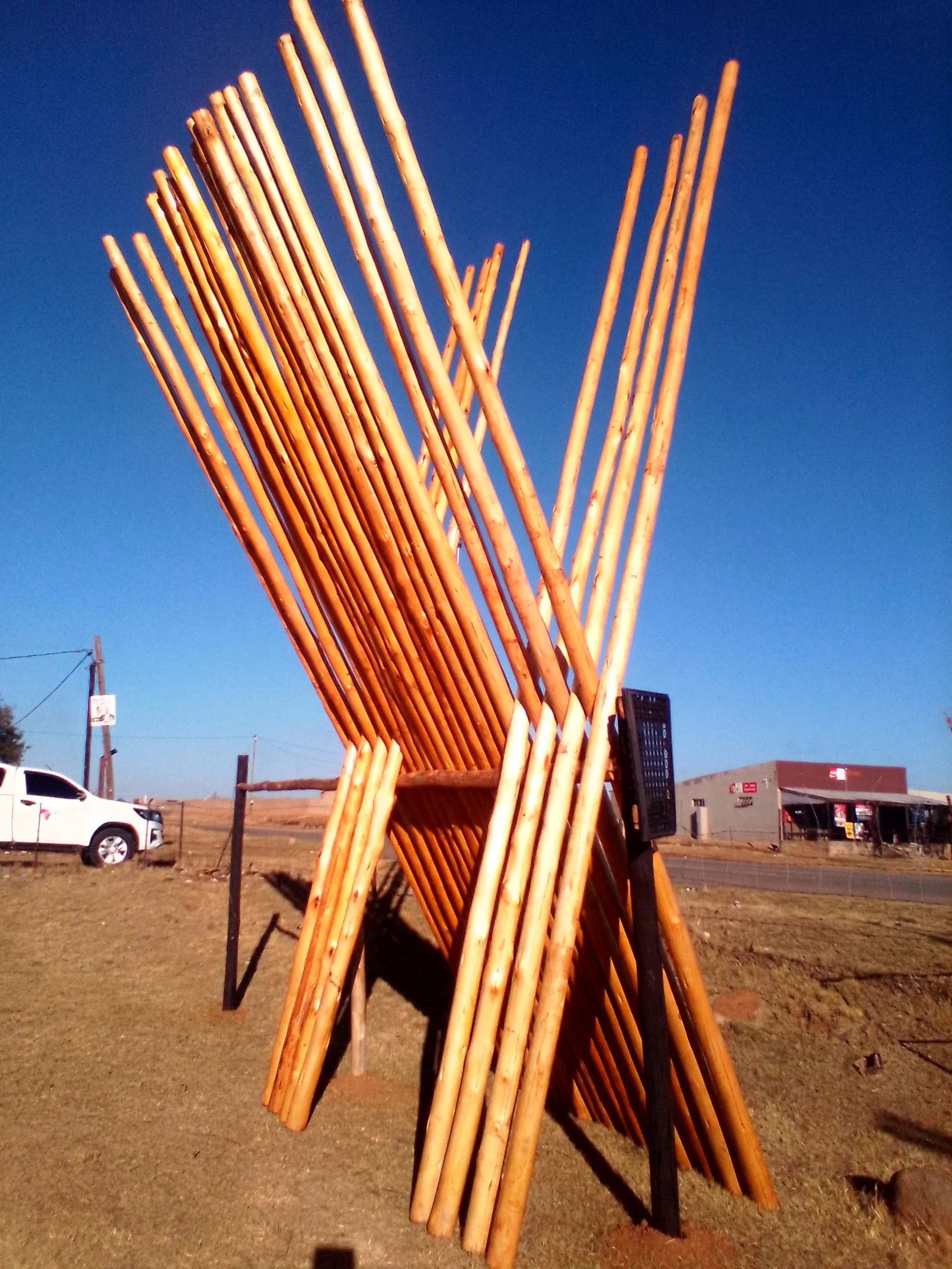 Gum Pole Stumps